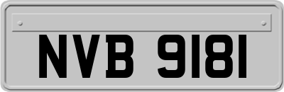 NVB9181