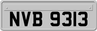NVB9313