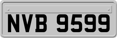 NVB9599