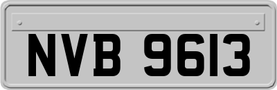 NVB9613