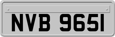 NVB9651