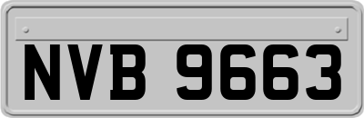NVB9663