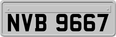 NVB9667