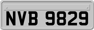 NVB9829