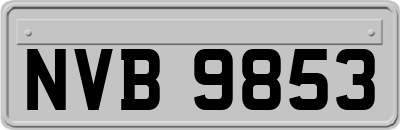 NVB9853