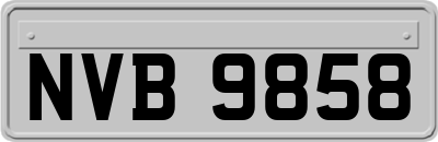 NVB9858