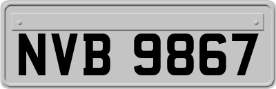 NVB9867