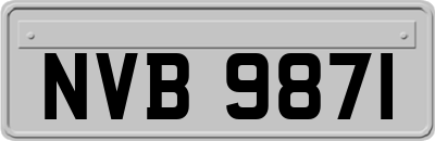 NVB9871