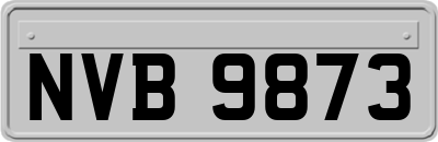 NVB9873