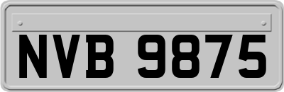NVB9875