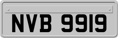 NVB9919
