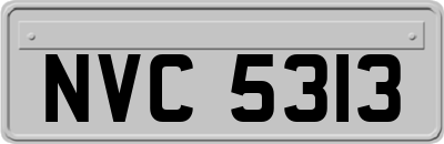 NVC5313