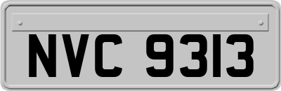 NVC9313