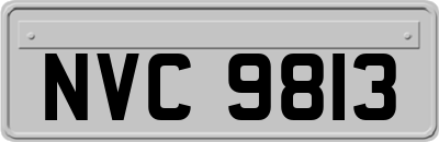 NVC9813