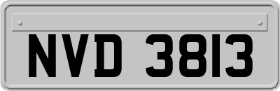 NVD3813