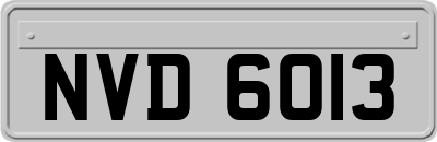 NVD6013