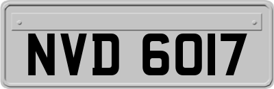 NVD6017