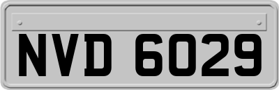NVD6029