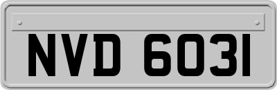 NVD6031