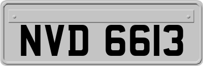 NVD6613