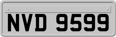 NVD9599