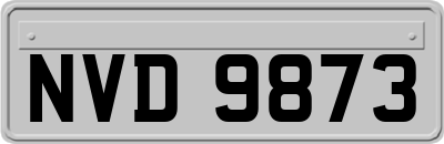 NVD9873