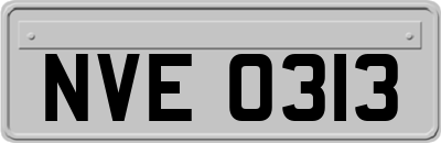 NVE0313