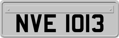 NVE1013