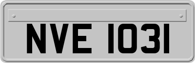 NVE1031