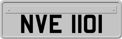 NVE1101