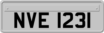 NVE1231