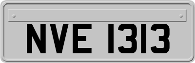 NVE1313