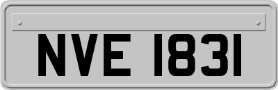 NVE1831