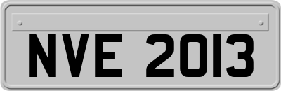 NVE2013
