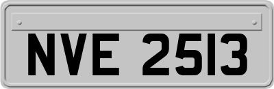 NVE2513