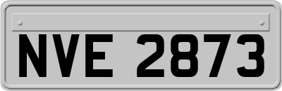 NVE2873