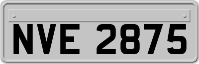 NVE2875