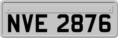 NVE2876