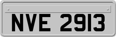 NVE2913