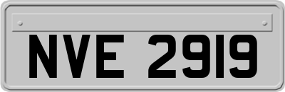 NVE2919