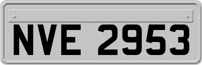 NVE2953