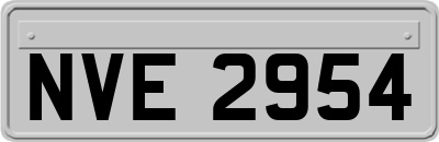 NVE2954