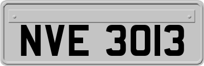 NVE3013