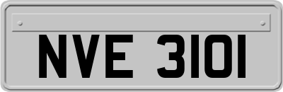 NVE3101