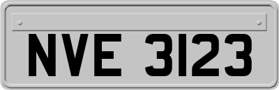 NVE3123