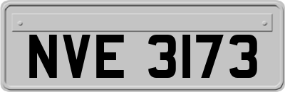 NVE3173