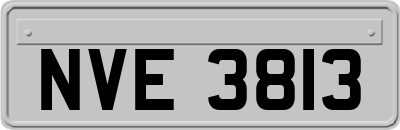 NVE3813