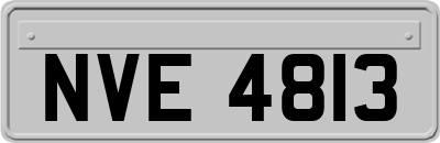 NVE4813