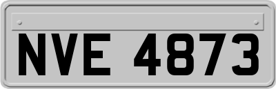 NVE4873