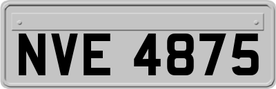 NVE4875